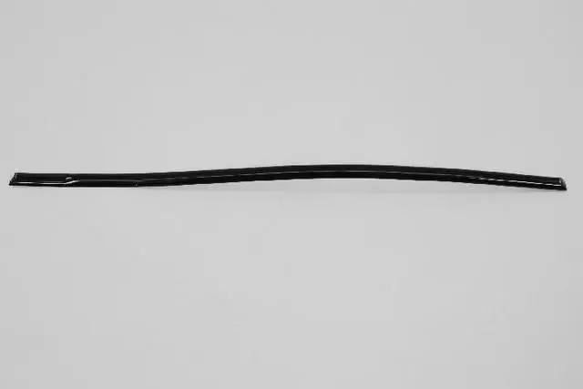 Rear Door Molding - Mopar (1DH74FKGAB)