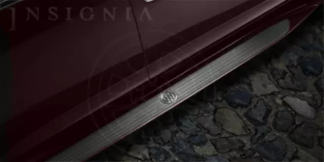 17802584 - : Assist Steps - Molded - Dark Red for GM Image