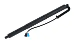615046 - : Liftgate Lift Support for Tuff Support Image