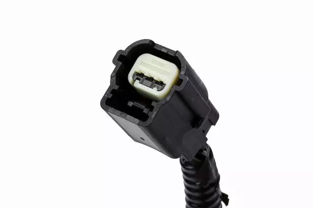Rear License Plate Lamp Wiring Harness - GM (10363788)