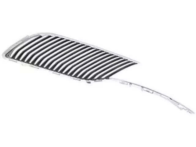 Grille - Ford (DE9Z-8200-BA)