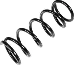 55020ZL15A - Suspension: Coil Spring for Nissan: Pathfinder Image