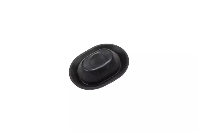 10111937 - Body: Lift Gate Drain Plug for Chevrolet: Trailblazer, Trailblazer EXT | GMC: Envoy, Envoy XL | Oldsmobile: Bravada Image