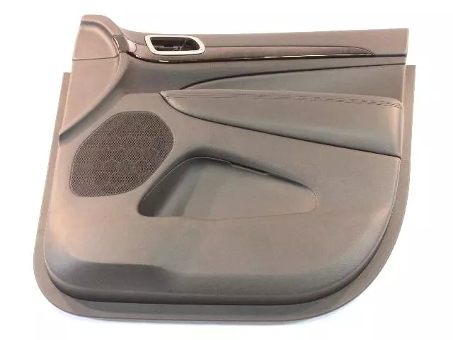 Front Door Trim Panel, Right - Mopar (1GG241X9AL)