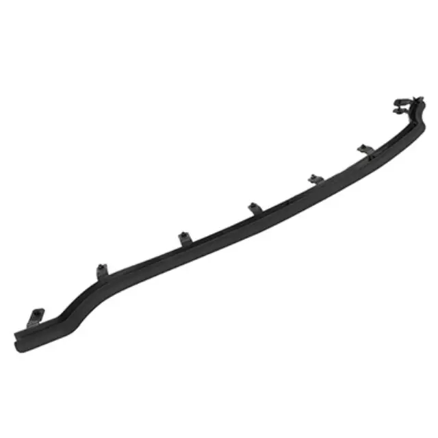 Front Weather-Strip - Ford (DP5Z-5425324-C)