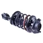 MSS050005 - : Mando Suspension Strut and Coil Spring Assembly for Mando Image