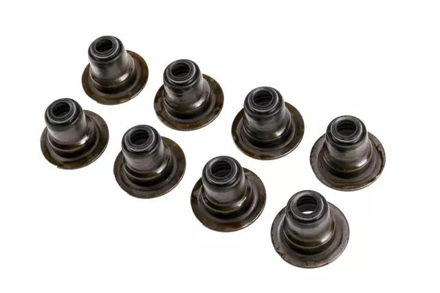 12482063 - Engine: Valve Seals for Buick: LaCrosse, Lucerne, Rainier, Terraza | Cadillac: CTS, Escalade, Escalade ESV, Escalade EXT | Chevrolet: Avalanche, Avalanche 1500, Camaro, Caprice, Colorado, Corvette, Express 1500, Express 2500, Express 3500, Express 4500, Impala, LCF 3500, Malibu, Monte Carlo, Silverado 1500, Silverado 1500 Classic, Silverado 1500 HD, Silverado 1500 HD Classic, Silverado 2500, Silverado 2500 HD, Silverado 2500 HD Classic, Silverado 3500, Silverado 3500 Classic, Silverado 3500 HD, SS, SSR, Suburban 1500, Suburban 2500, Suburban 3500 HD, Tahoe, Trailblazer, Trailblazer EXT, Uplander | GMC: Canyon, Envoy, Envoy XL, Envoy XUV, Savana 1500, Savana 2500, Savana 3500, Savana 4500, Sierra 1500, Sierra 1500 Classic, Sierra 1500 HD, Sierra 1500 HD Classic, Sierra 2500, Sierra 2500 HD, Sierra 2500 HD Classic, Sierra 3500, Sierra 3500 Classic, Sierra 3500 HD, Yukon, Yukon XL 1500, Yukon XL 2500 | Hummer: H2, H3, H3T | Pontiac: Firebird, G6, G8, Grand Prix, GTO, Montana | Saturn: Aura, Relay, Vue Image