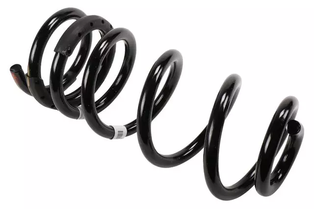 Rear Coil Spring - GM (84660650)