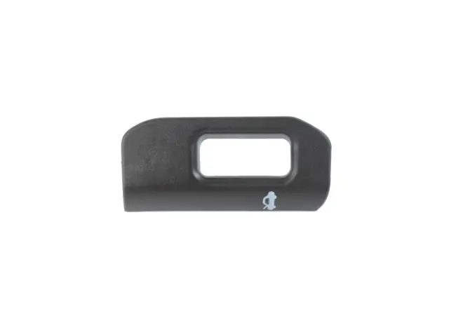 Handle - Mopar (6CQ32LXHAA)