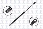 84439 - : Hood Lift Support for Focus Auto Parts Image