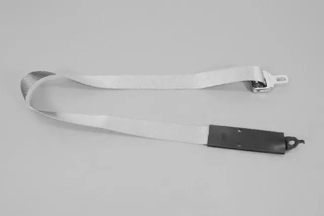 Tip Half Seat Belt, Center - Mopar (5GW301J3AC)