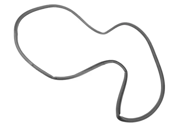 Door Weather-Strip - GM (84600671)