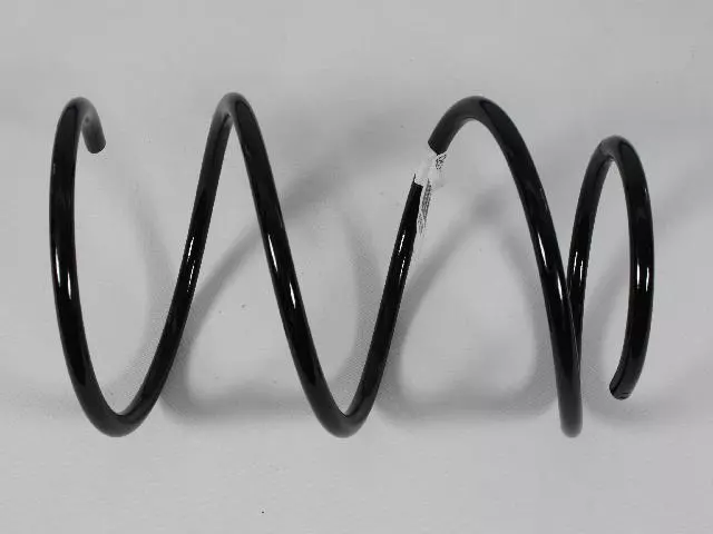 Rear Coil Spring - Mopar (5290185AA)