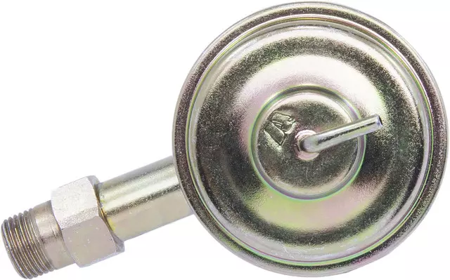 Valve - GM (19193203)