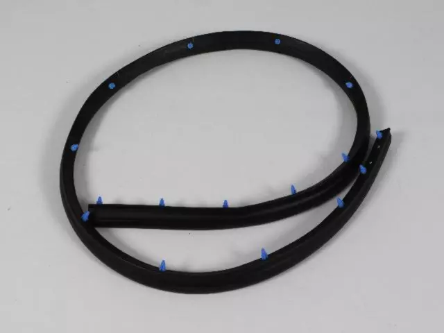 Front Door Seal, Right - Mopar (55394042AE)
