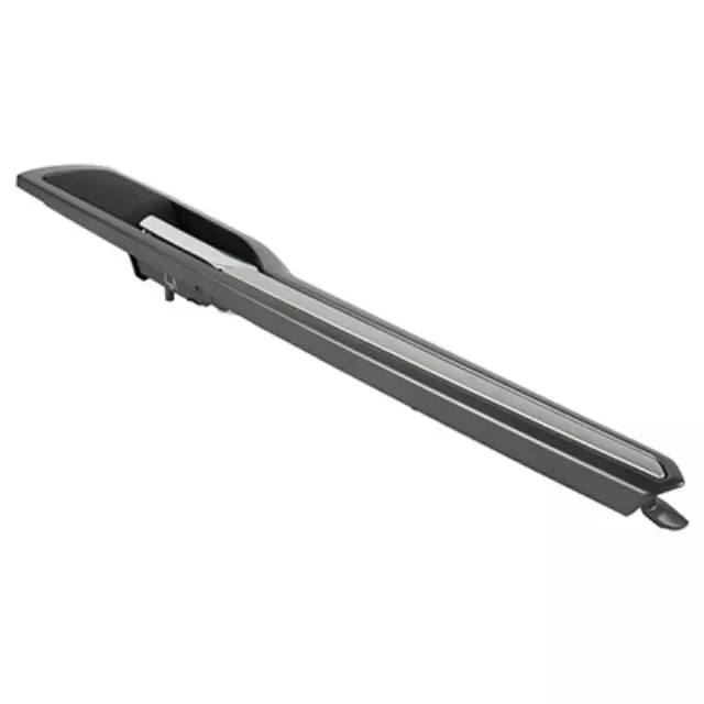 Insert Panel - Ford (DS7Z-54275A36-BA)