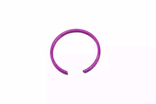 15855623 - : Half-Shaft Retaining Ring for Buick: Enclave | GMC: Acadia, Acadia Limited | Saturn: Outlook Image