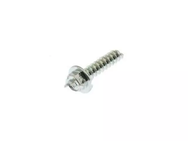 Cargo Lamp Bulb Screw - Ford (W506824-S437)