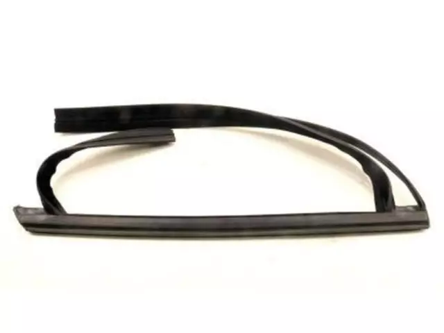 DM5Z5825767A - : 2014-2018 Ford Focus - Window Channel for Ford: Focus Image