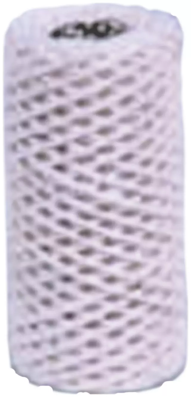 TP1484 - : Fuel Filter for ACDelco Image
