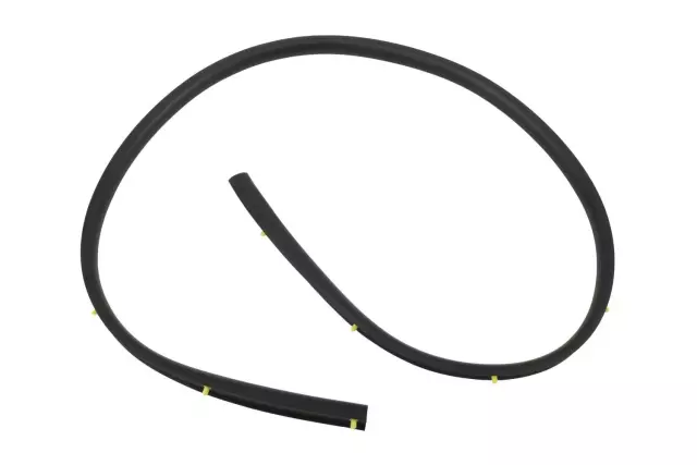 Passenger Side Center Pillar Lower Weatherstrip - GM (10372800)