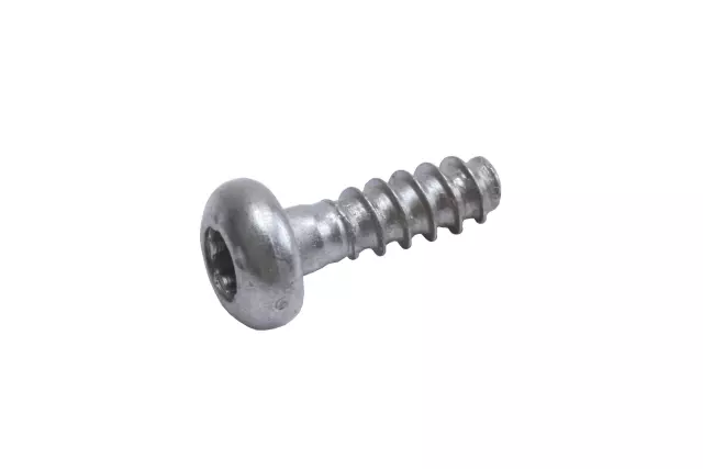 11562295 - Electrical: Lower Support Bolt for GM Image