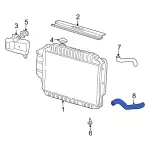 9C2Z8286A - Cooling System: Lower Hose for Ford: E-350 Club Wagon, E-350 Super Duty, E-450 Super Duty Image