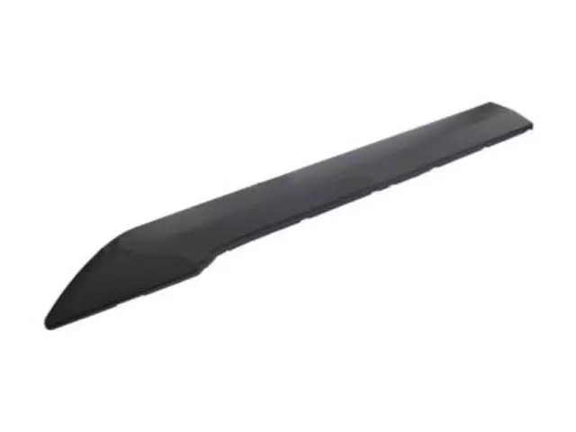 Body Side Molding - Ford (DT1Z-6120879-BB)