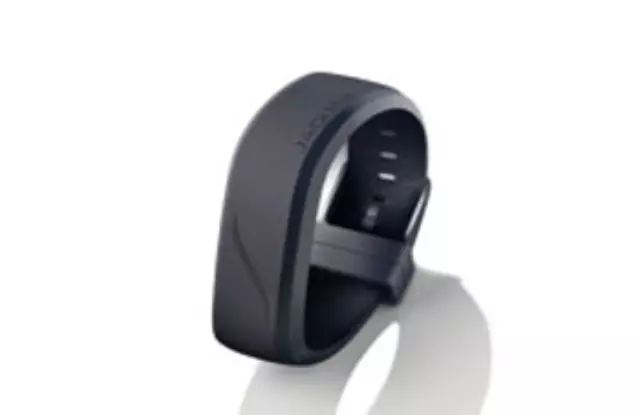 T2H41252 - : Wristband, Activity Key for Jaguar: F-Pace Image