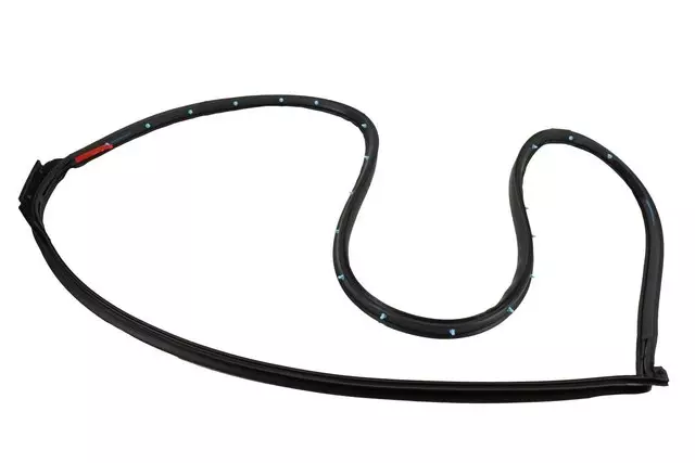 20835395 - Body: Door Weather-strip for Buick: Enclave Image