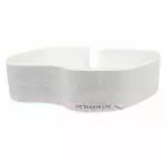 GL3Z16255A36BA - Body: Stripe for Ford: F-150 Image