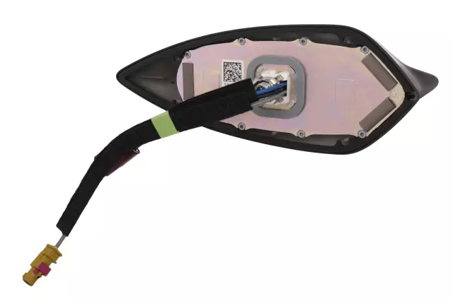 Black High Frequency Antenna - GM (84656569)