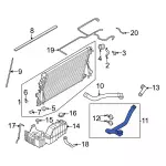 LC3Z8286H - : Lower Hose for Ford: F-250 Super Duty, F-350 Super Duty, F-450 Super Duty, F-550 Super Duty Image