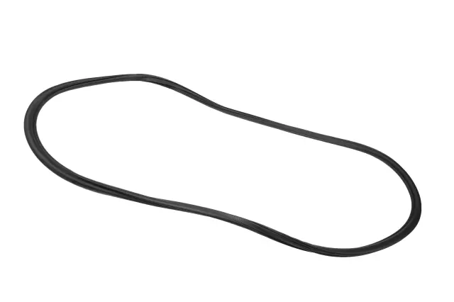 Rear Side Door Weatherstrip - GM (84244793)