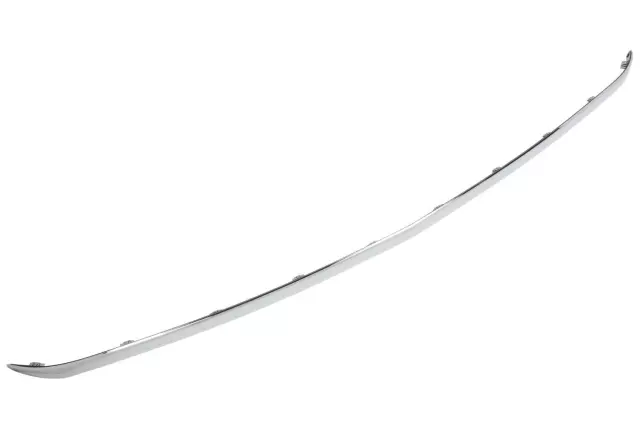 15911579 - Body: Front Molding for Chevrolet: Silverado 2500 HD, Silverado 3500 HD Image