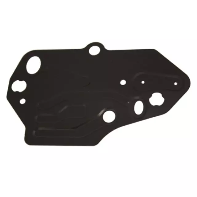 Gasket Valve - Ford (3L3Z-6C285-AA)
