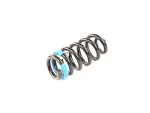 68399058AA - : Rear Coil Spring, Right Rear for Mopar Image