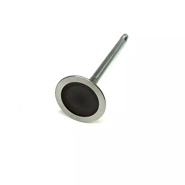 6D109601M - : Intake Valve for Audi: A3, A3 Quattro, A4, A4 Quattro, A5, A5 Quattro, A6, A6 Quattro, A8 Quattro, allroad, Q5, RS7, S6, S7, S8, TT, TT Quattro, TT RS Quattro, TTS Quattro Image