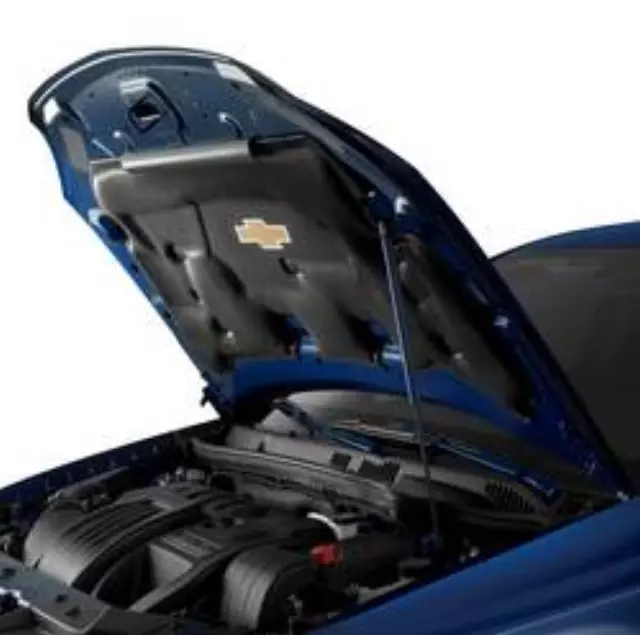 Hood Struts - GM (17800729)