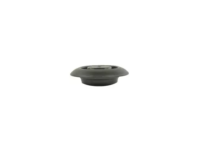 68315613AA - Body Sheet Metal Except Doors: Body Plug for Mopar Image