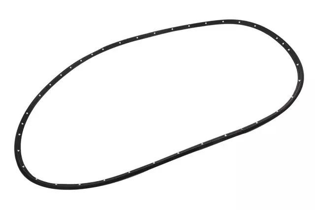 Front Driver Side Door Weatherstrip - GM (42766259)