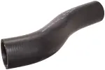 FNH096 - Air and Fuel Delivery: Fuel Filler Hose for Spectra Premium Image