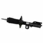 AST12274 - : Shock Absorber Assembly for Ford: Flex Image
