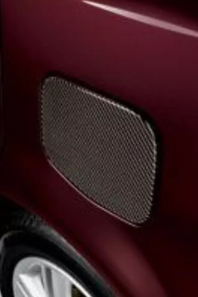 PTS1052040 - Exterior: Applique, Carbon Fiber Fuel Door for Scion: xB Image