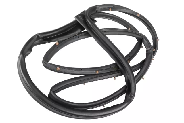 96649136 - Body: Door Weather-strip for Chevrolet: Aveo Image