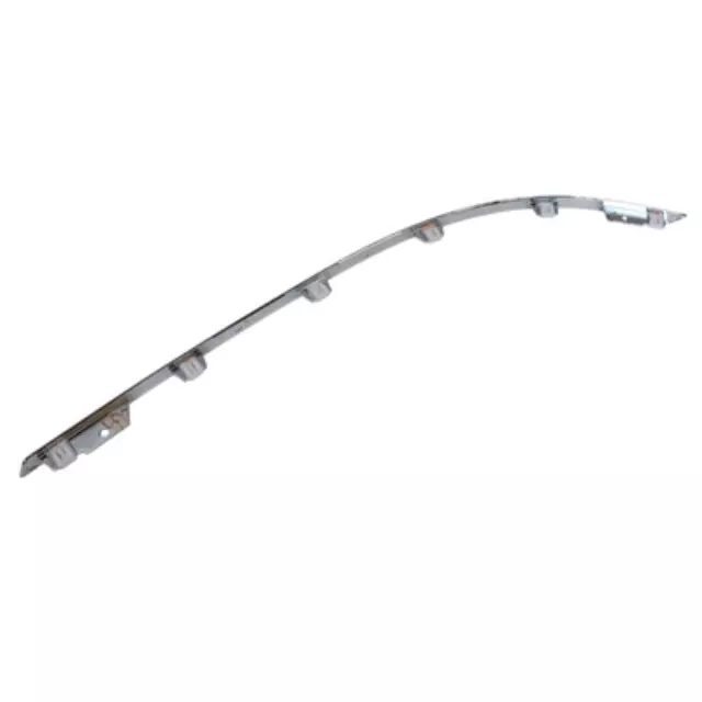 Molding - Ford (5G1Z-17C829-AAA)