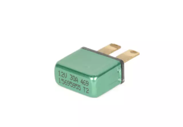 15695955 - : 30 Amp Circuit Breaker for ACDelco Image