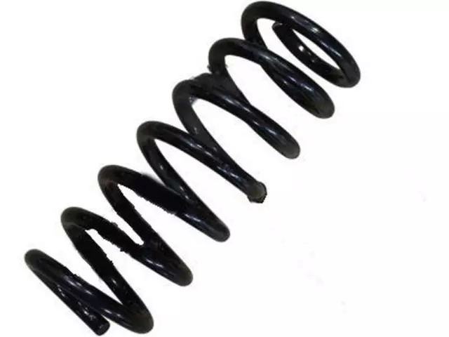 Coil Spring - Ford (DG9Z-5560-S)