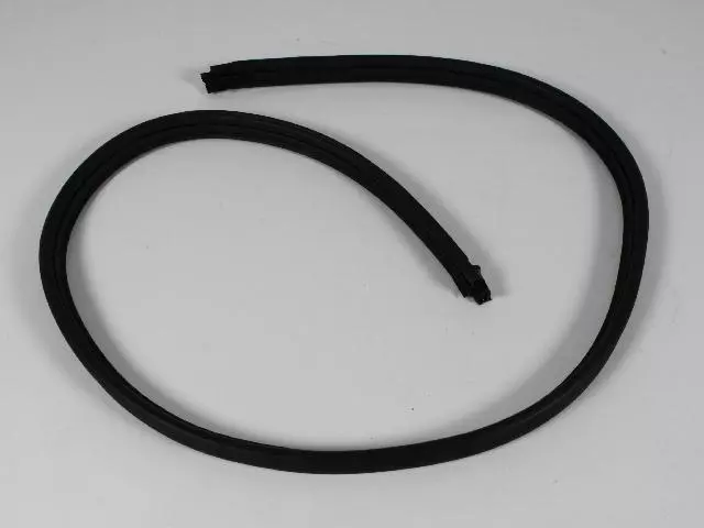 Liftgate Weatherseal - Mopar (55175041AH)