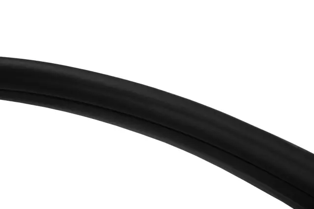 Rear Side Door Weatherstrip - GM (23283531)
